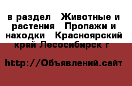  в раздел : Животные и растения » Пропажи и находки . Красноярский край,Лесосибирск г.